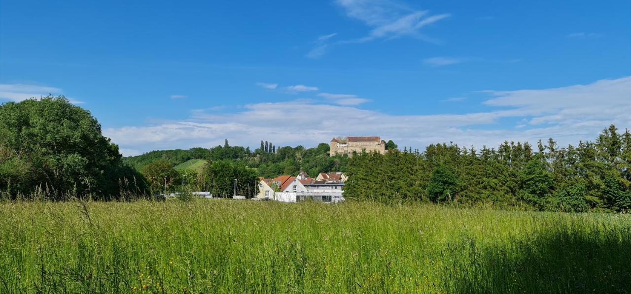 Sali Homes - Gaestehaus Lamm Obersulm Exterior foto